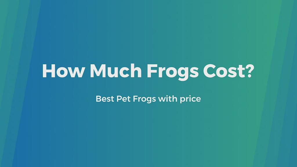 'Video thumbnail for Wondering How much frogs cost?'